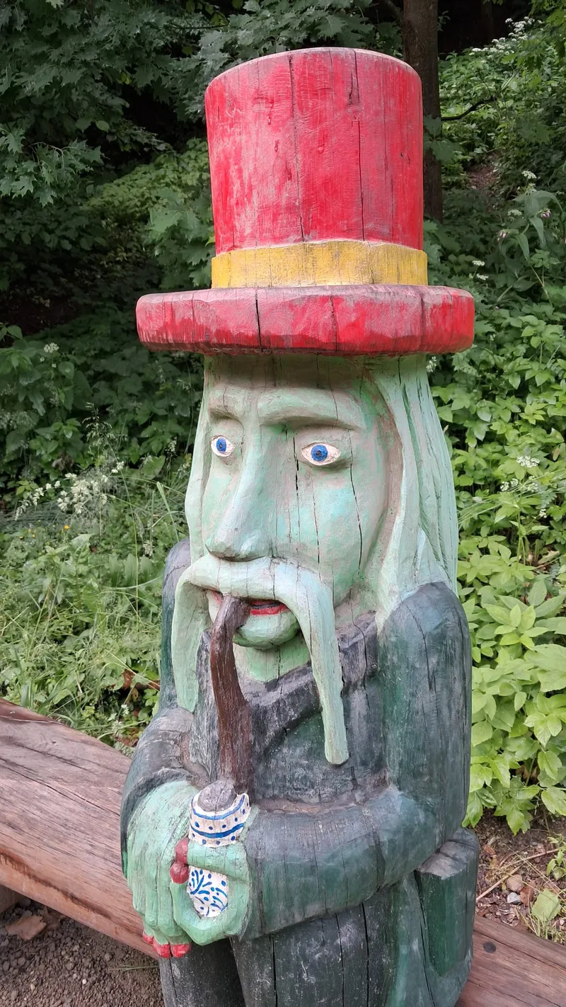 deštný hlídač